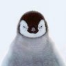 Profilbild von Danny