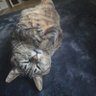 pkotu-p's profile picture