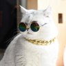 ็คพไผ็ซ's profile picture