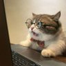 OpinionOutlaw's profile picture
