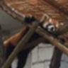 さねか@今季もある意味開幕戦から参戦だ! profil fotoğrafı