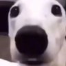 lo's profile picture