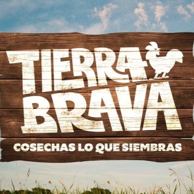 TierraBrava13GO's profile picture