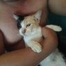 RCavite profil fotoğrafı