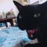 クロ profil fotoğrafı