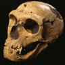 Il Bamagusani Spectakularo profil fotoğrafı