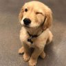 YumYumYum's profile picture