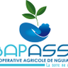 coopérative agricole nguiassono profil fotoğrafı