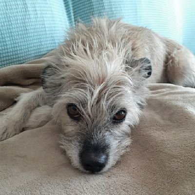 DelbridgeMark1's profile picture