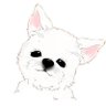 ãœã«ããµã's profile picture