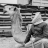 ًّ's profile picture