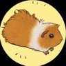 🐹紺🐟's profile picture