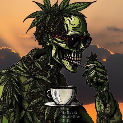 Hendrix☮️'s profile picture