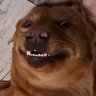 Profilbild von R