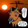 Profilbild von 宮古島のぷりうす(車じゃないよ)