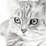 เริงปอย หวานเจี๊ยบ's profile picture