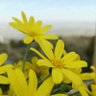 Фото профиля عوض الشريف ،...