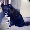 爺はいつも青春's profile picture