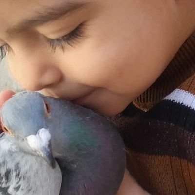 khandehrooo's profile picture