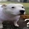 ramona๐ต๐ธ๐ต๐ธ's profile picture