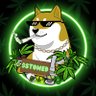 $STONED 的头像