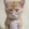 rawr profil fotoğrafı