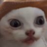 Profilbild von BRICHE