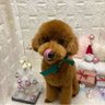 すかりー's profile picture
