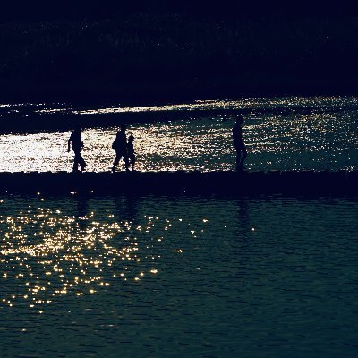 陶's profile picture