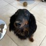 Bast_h profil fotoğrafı