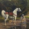 Nomadic profil fotoğrafı