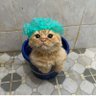 esboba profil fotoğrafı