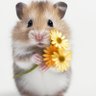 Flower's profile picture