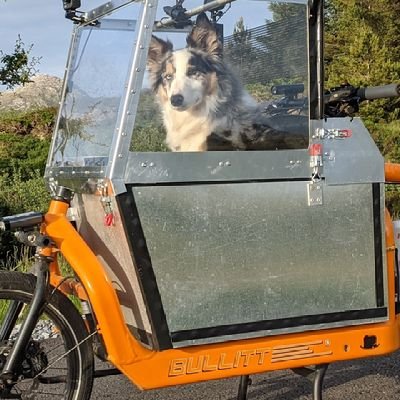 Cycling For Mind's profile picture