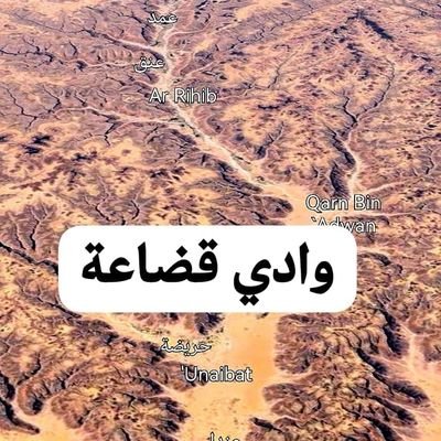 abuWaleed1113's profile picture