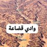 تحور قضاعة L222 8810، 8485 的头像