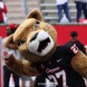 UH Sports's profile picture