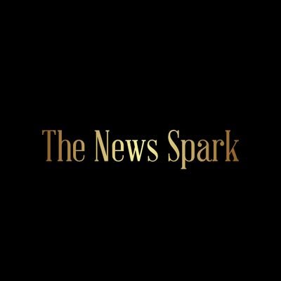 TheNewsSpark's profile picture