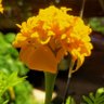 Фото профиля chaichana