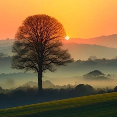 The Nature's profile picture