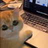 pp6789 profil fotoğrafı