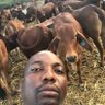 Dr Saymore Ndou profil fotoğrafı