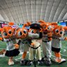 Фото профиля サヨリ♫彡。.:・🍀⚾️✈️🐽