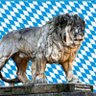 Florian Bavaria Munich's profile picture