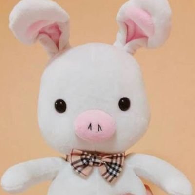 PigRabbitTay's profile picture