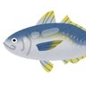 Profilbild von sun