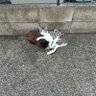 はーちゃん's profile picture