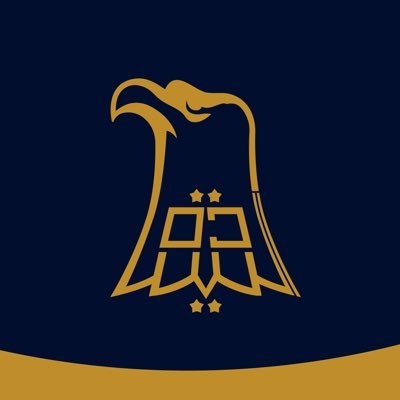 alseyadaiq's profile picture