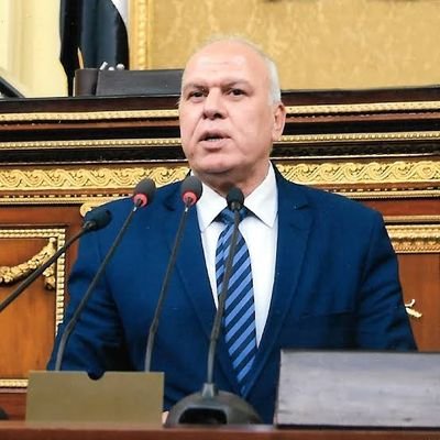 radwanelzayaty's profile picture