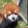 Hoxb 的头像